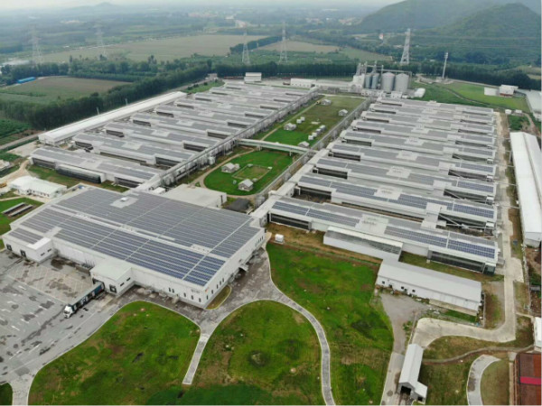 “掘金”下一个风口: 304永利集团电力为正大蛋业5.46MW屋顶项目提供综合解决方案