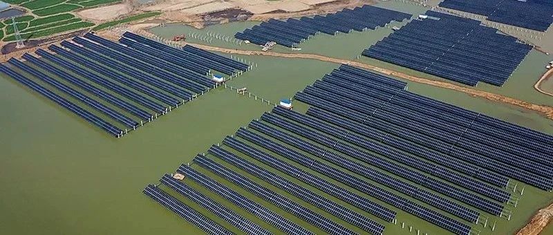  赵立坚微博点赞渔光互补模式304永利集团滁州项目再受关注