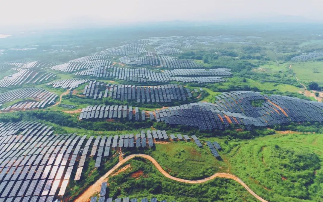 300MW！304永利集团广东农垦红十月农场农光互补项目满发并网